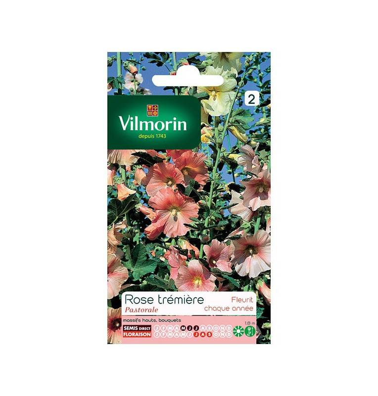 Seed packet Pastoral Hollyhock