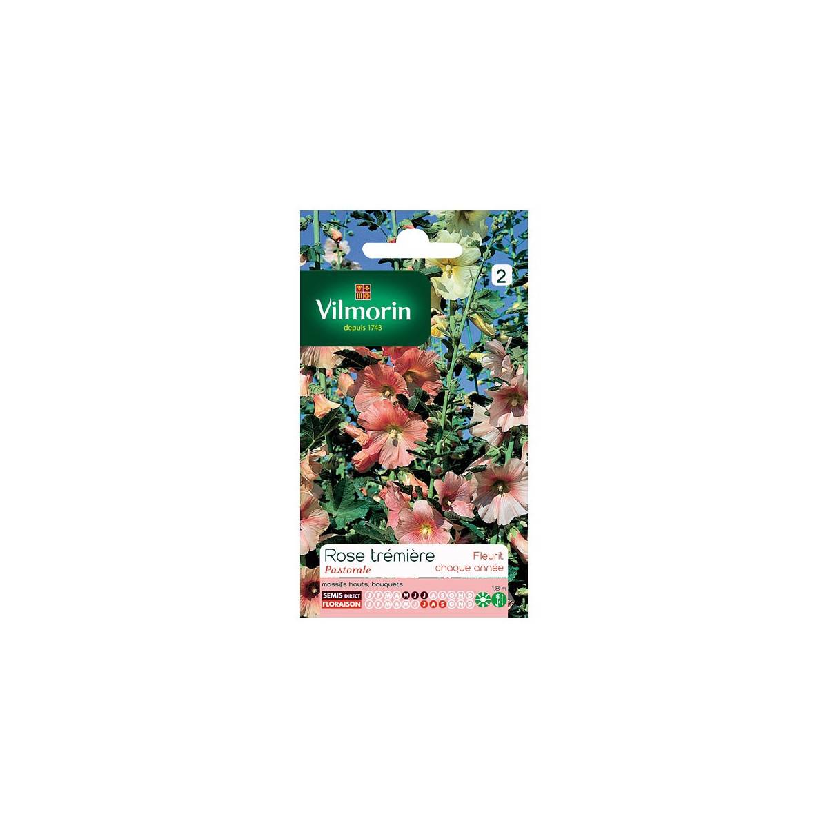 Seed packet Pastoral Hollyhock