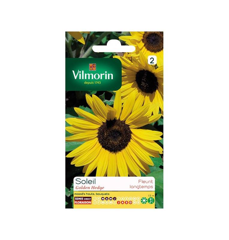 Sachet graines Tournesol Soleil Golden Hedge