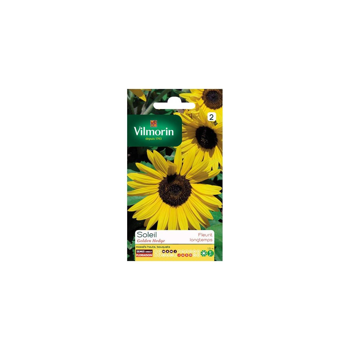 Sachet graines Tournesol Soleil Golden Hedge