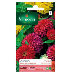 Sachet graines Zinnia Fleur Monstrueuse