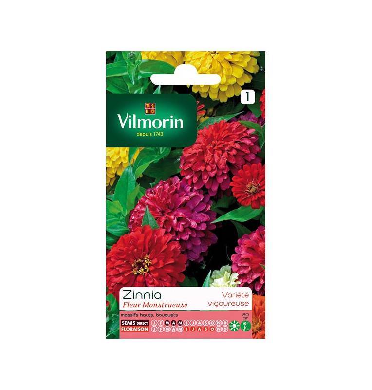 Sachet graines Zinnia Fleur Monstrueuse