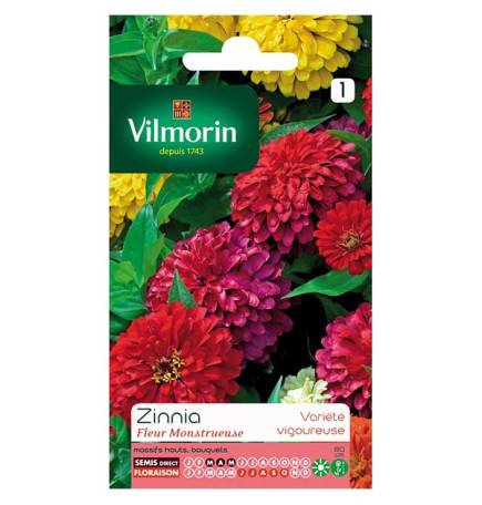 Sachet graines Zinnia Fleur Monstrueuse