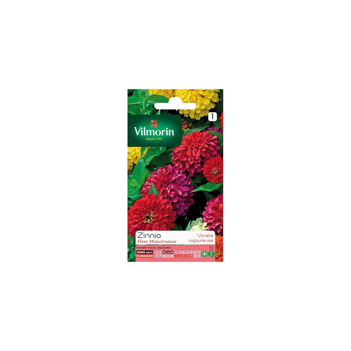 Sachet graines Zinnia Fleur Monstrueuse