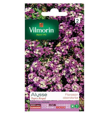 bolsa de semillas Alyssum Real Alfombra