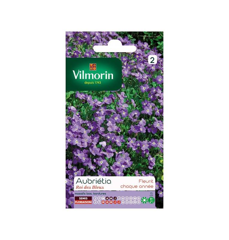 Sachets graines Aubrietia Roi des Bleus