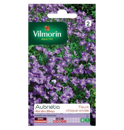 Sachets graines Aubrietia Roi des Bleus