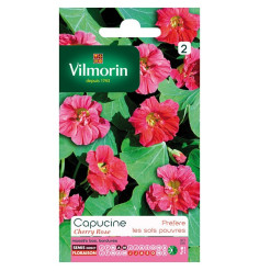 Capucine pink cherry seed packet