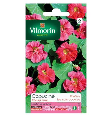 Capucine pink cherry seed packet