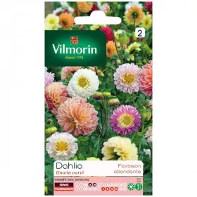 Sachet graines Dahlia Unwin varié