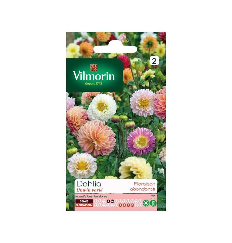 Sachet graines Dahlia Unwin varié