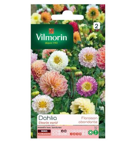 Sachet graines Dahlia Unwin varié