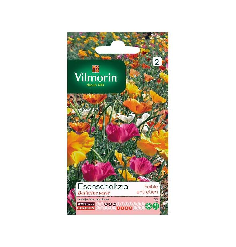 Sachet seeds Eschscholtzia Ballerina varied