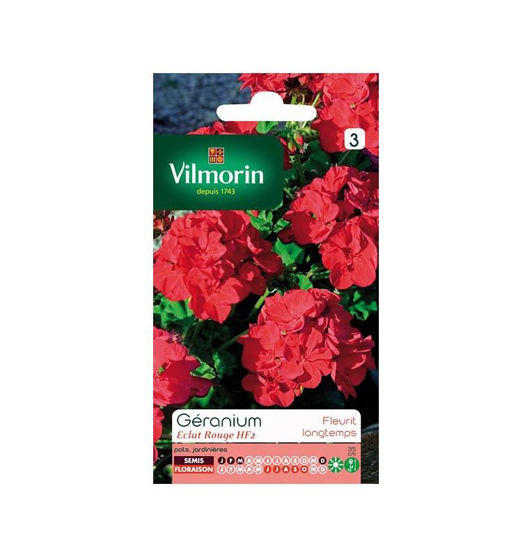 Seed packet Geranium shine red HF2