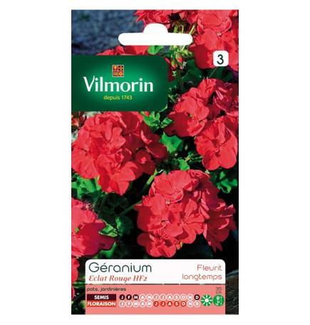 Seed packet Geranium shine red HF2