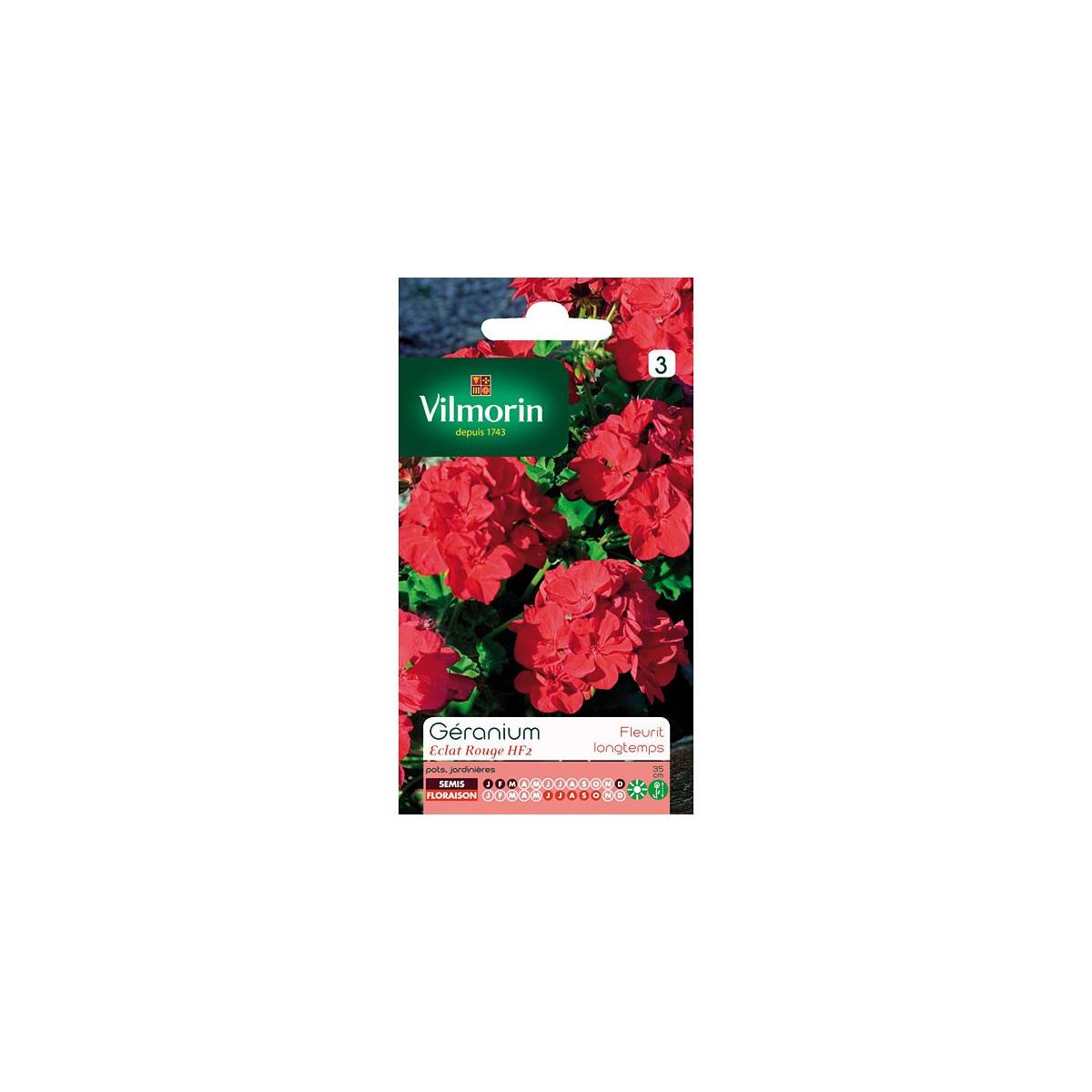 Seed packet Geranium shine red HF2