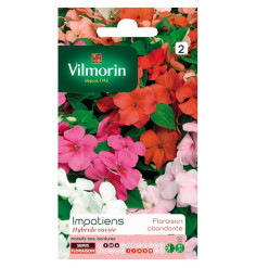 Sachet graines Impatiens Hybride varié