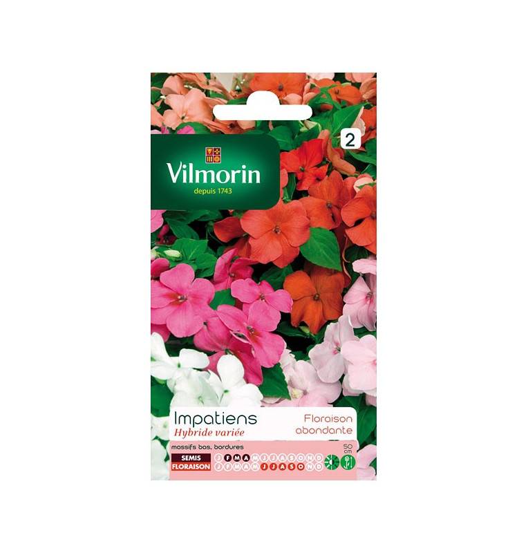 Impatiens Seed Bag Hybrid Varied