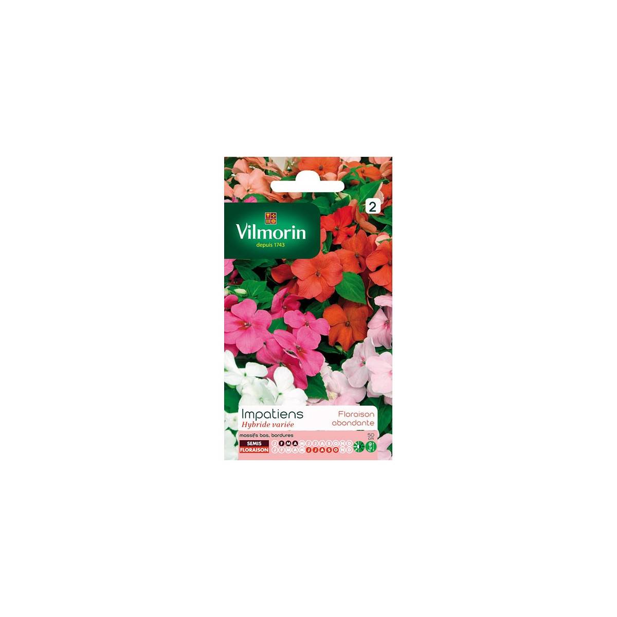 Sachet graines Impatiens Hybride varié