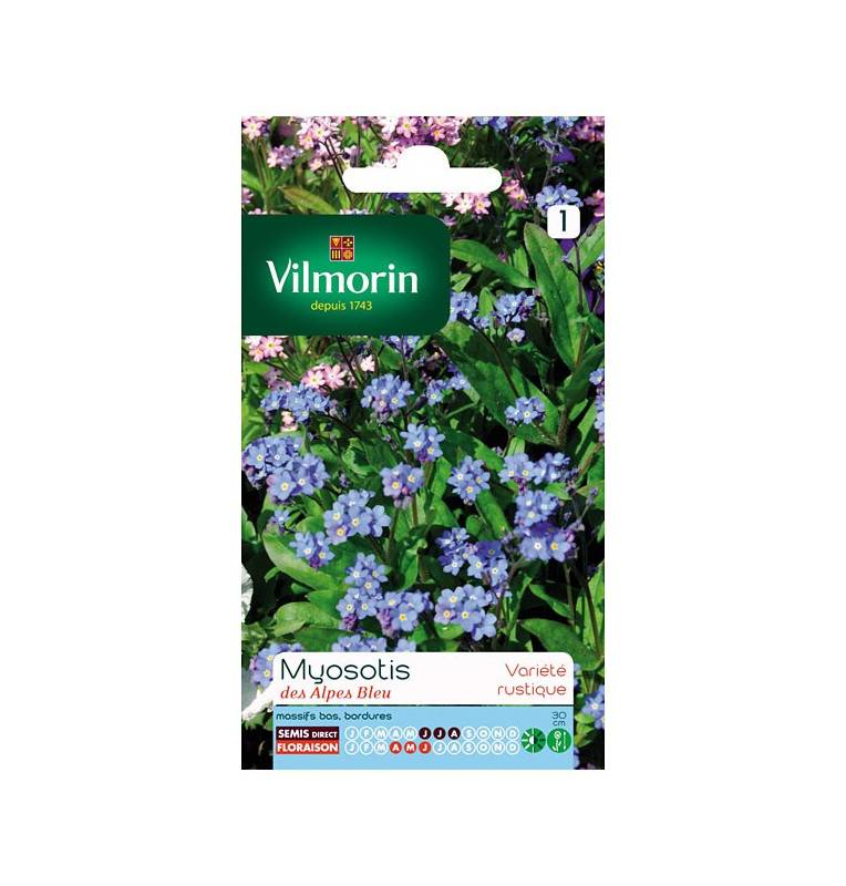 Bag seeds Myosotis blue alps