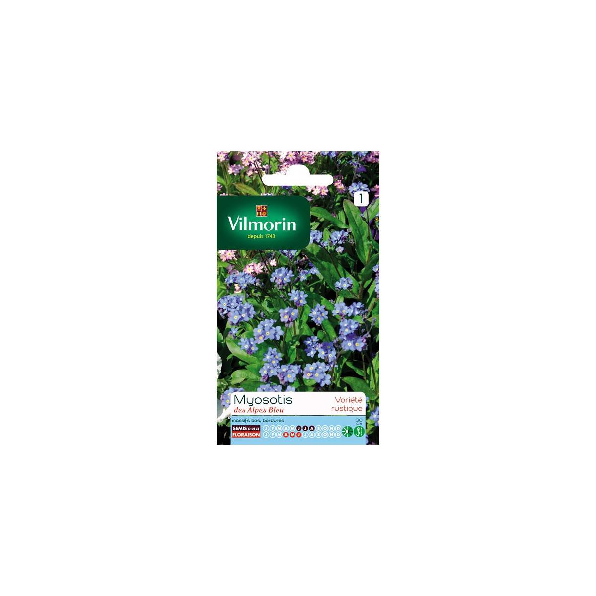 Bag seeds Myosotis blue alps