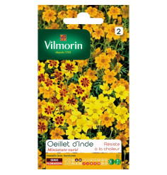 bolso Semillas de clavel variaron india miniatura (Tagetes signata)