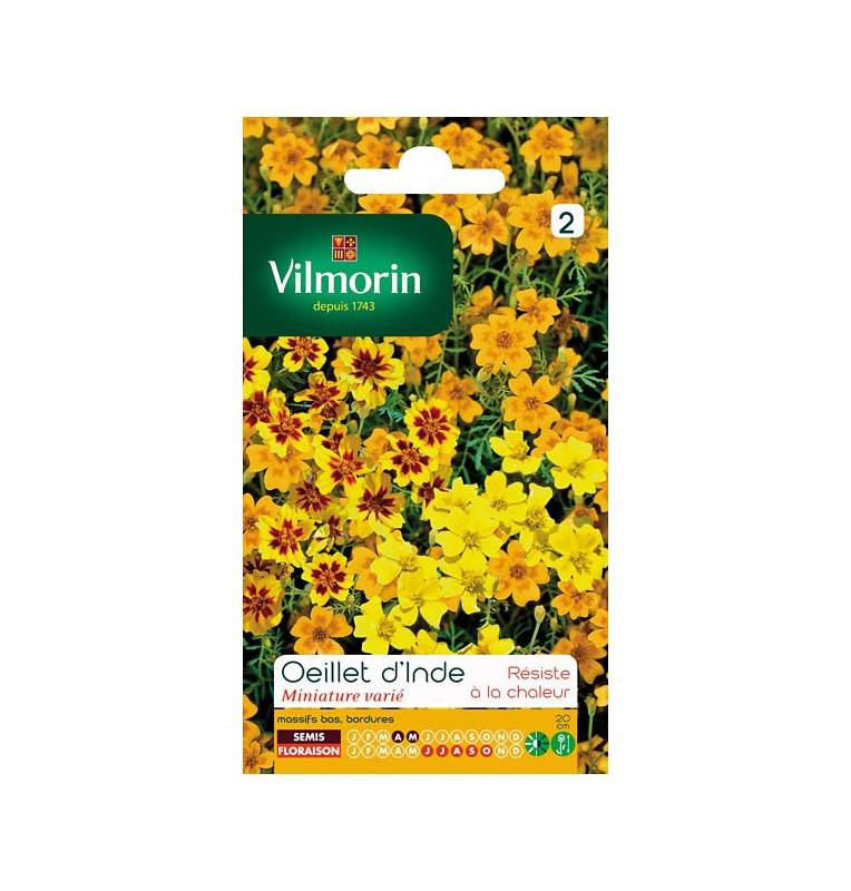 bolso Semillas de clavel variaron india miniatura (Tagetes signata)