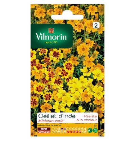 Sachet graines Oeillet d'inde miniature varié ( Tagetes signata)