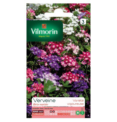 Verbena Verte Brio Variety Pack