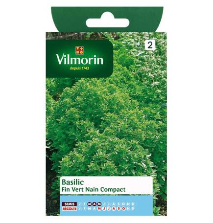 Sachet graines Basilic fin vert nain compact