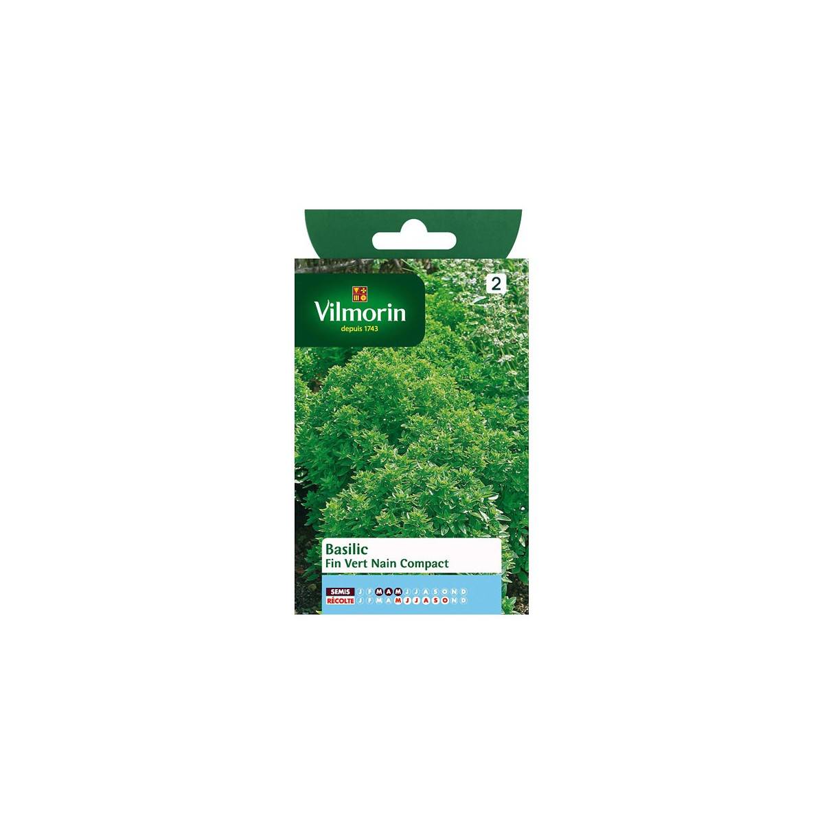 Sachet graines Basilic fin vert nain compact