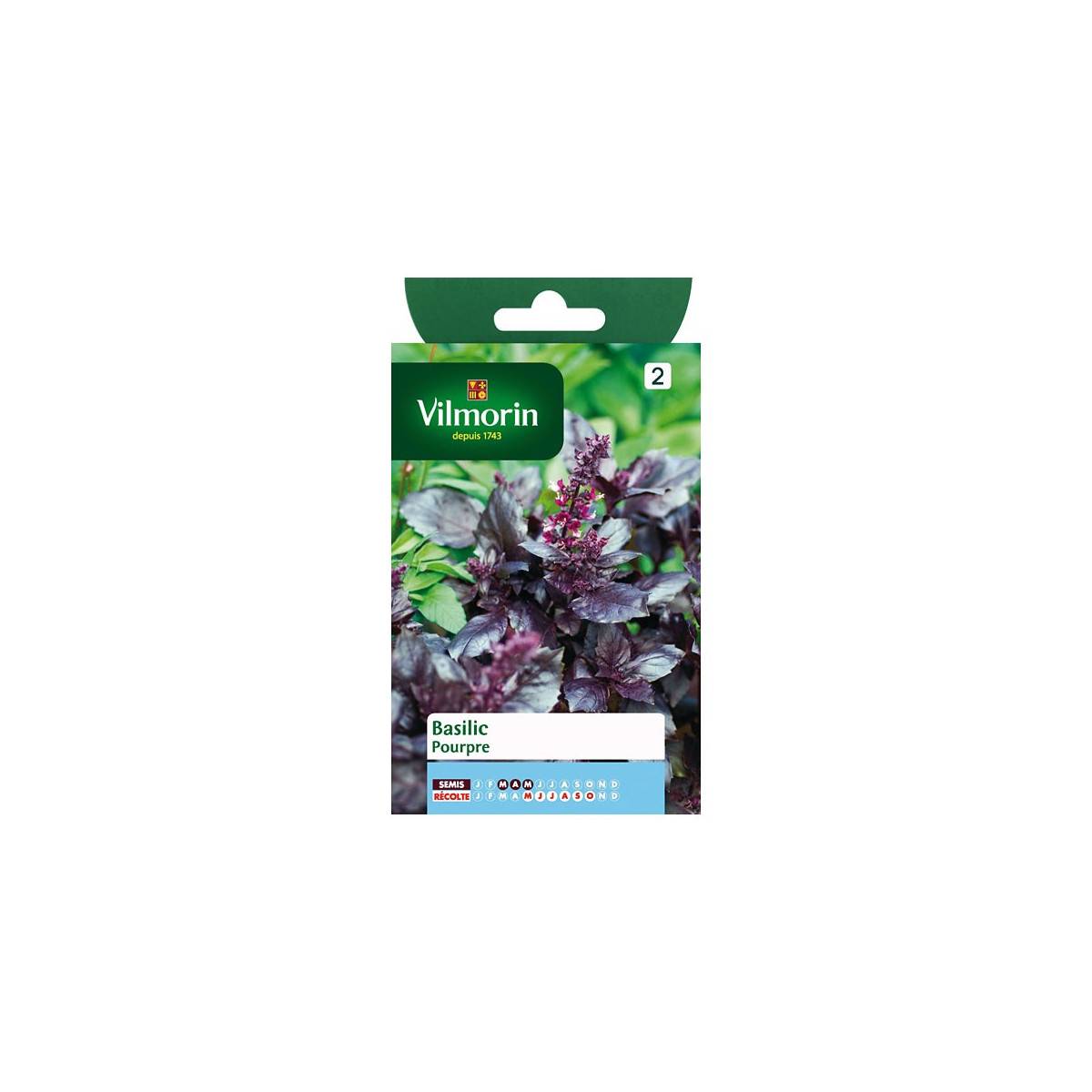 Sachet graines Basilic pourpre