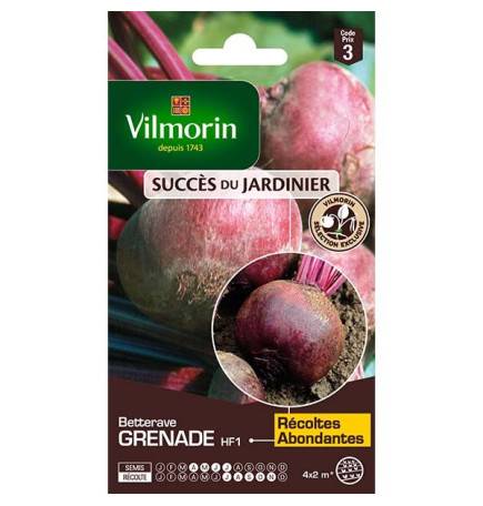 Beetroot Grenada HF1