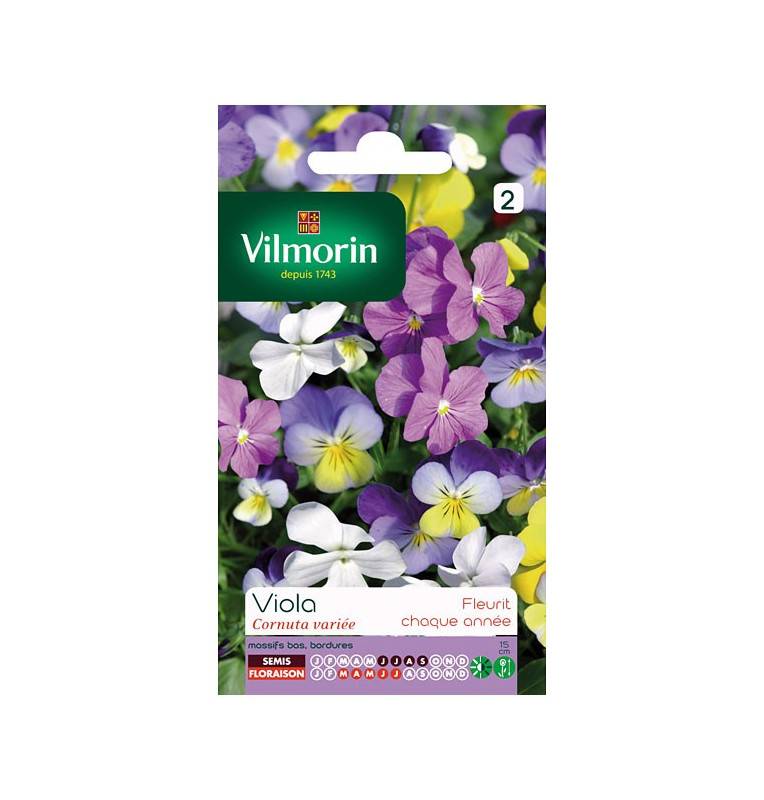 Sachet graines Viola Cornuta variée