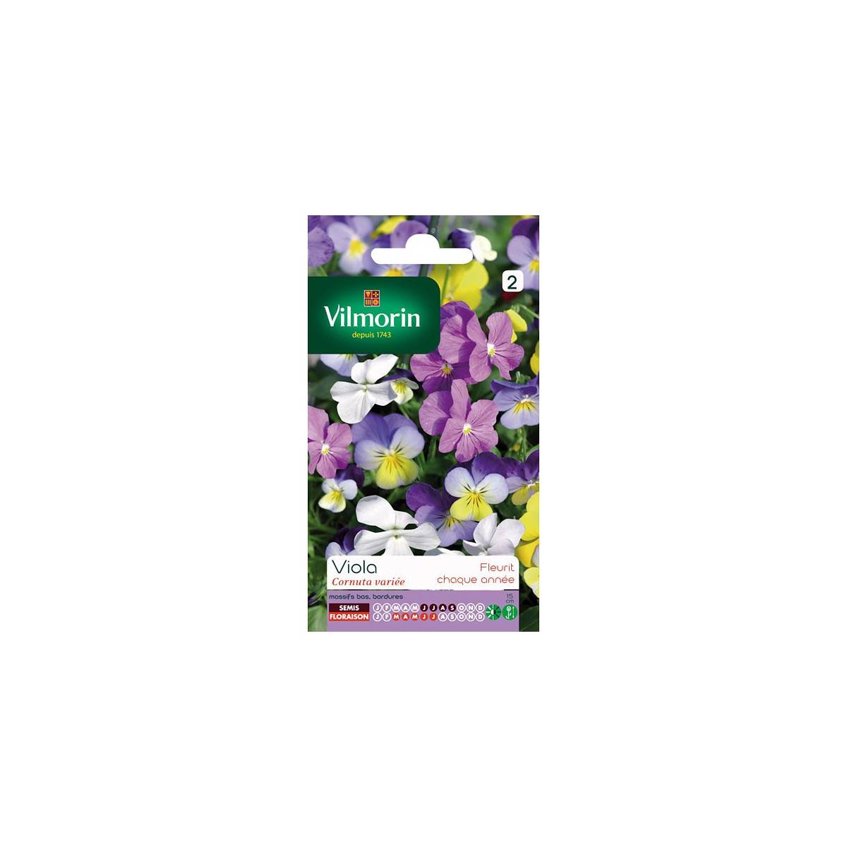 Sachet graines Viola Cornuta variée