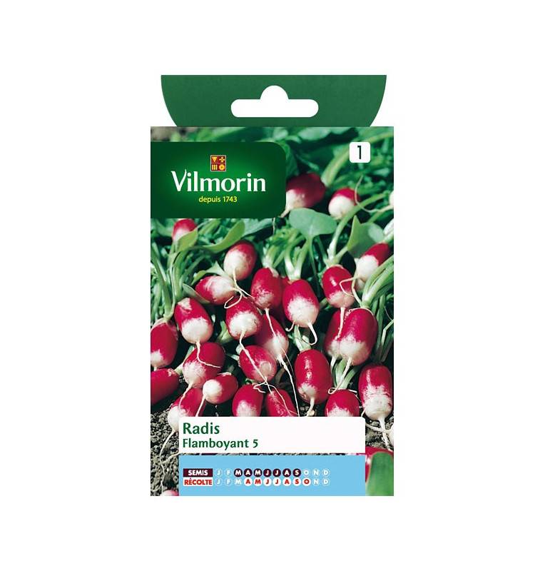 Flamboyant Radish seeds sachet 5