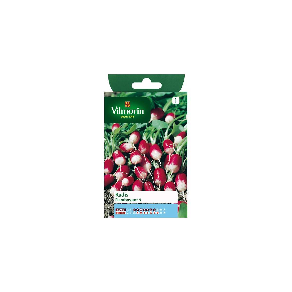 Flamboyant Radish seeds sachet 5