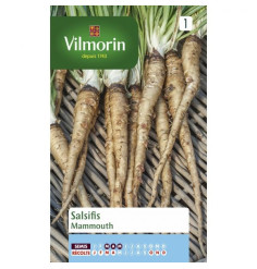 semillas Paquete Salsify Mammoth