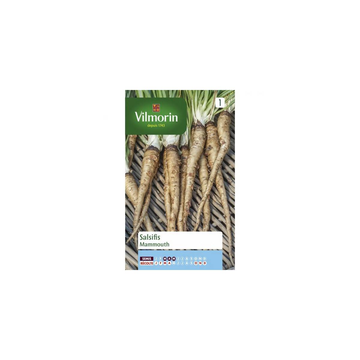 semillas Paquete Salsify Mammoth