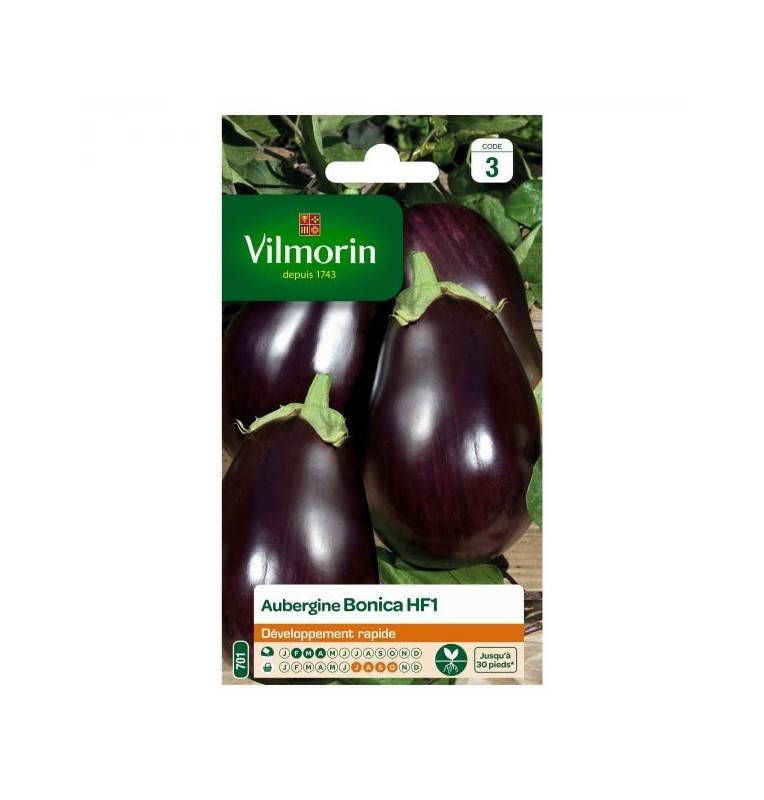 Bonica Eggplant seeds bag HF1