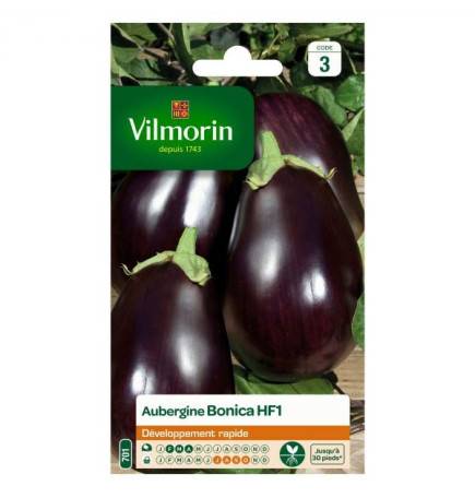 Sachet graines Aubergine Bonica HF1