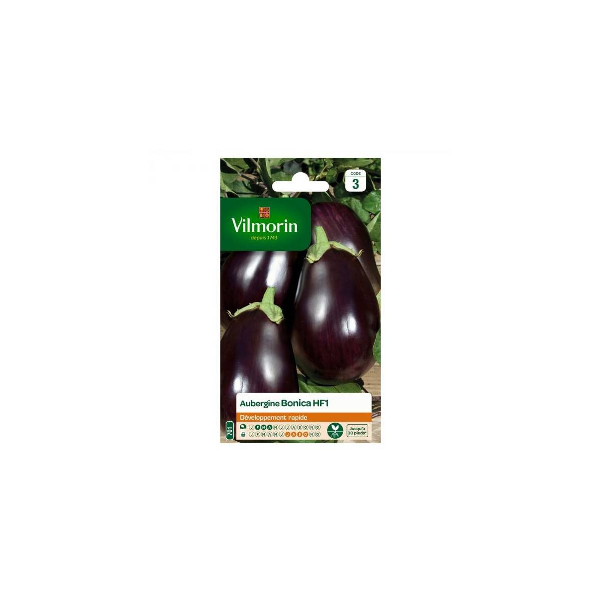 Bonica Eggplant seeds bag HF1