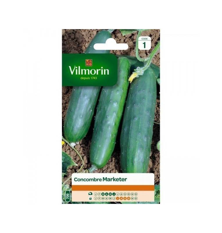 Cucumber Marketer Seed Bag