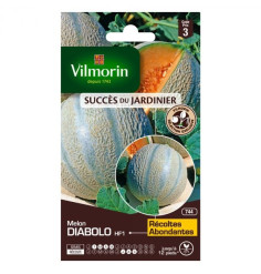 Sachet graines Melon Diabolo HF1