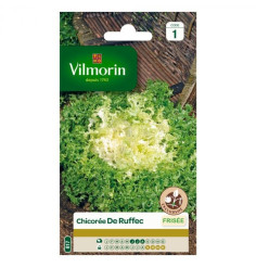 Sachet graines Chicorée frisée de Ruffec