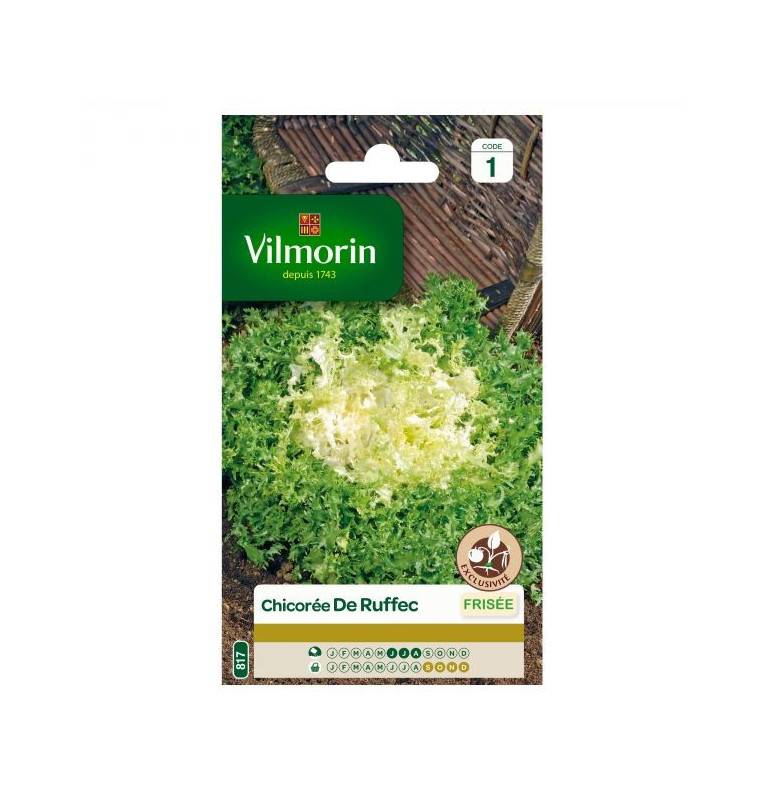 Sachet graines Chicorée frisée de Ruffec