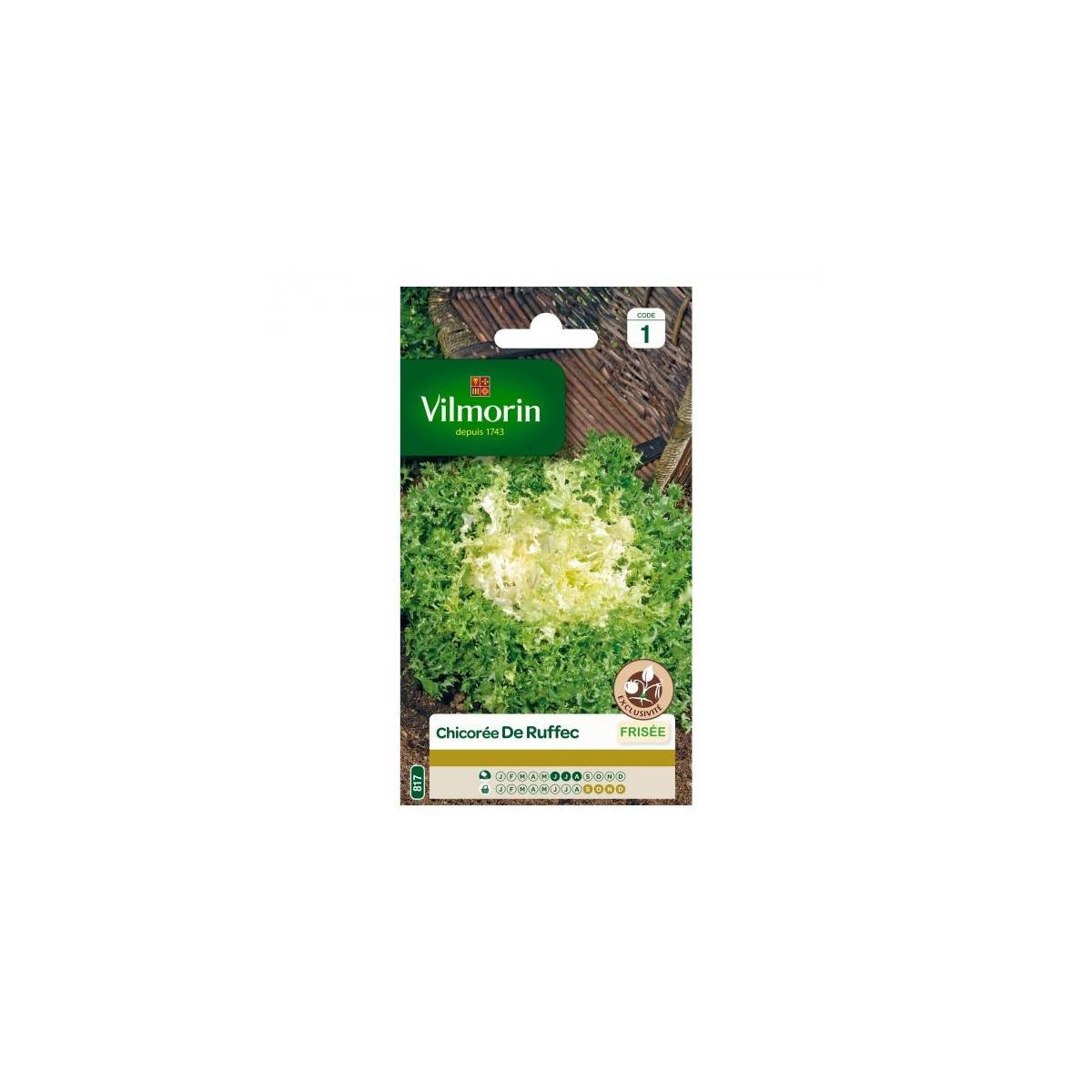 Sachet graines Chicorée frisée de Ruffec