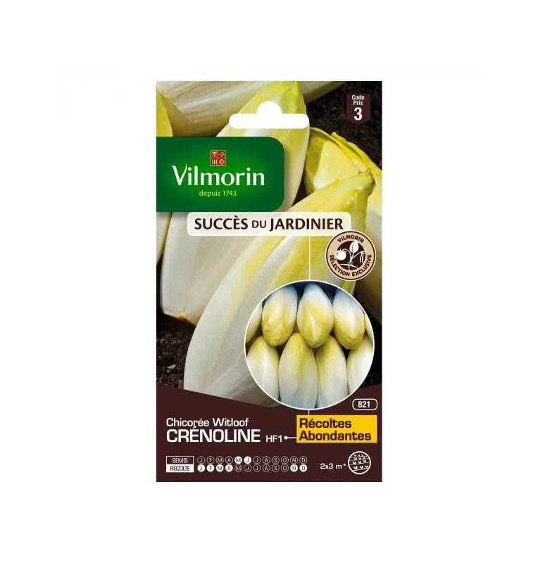 Sachet graines Chicorée Witloof Crenoline HF1