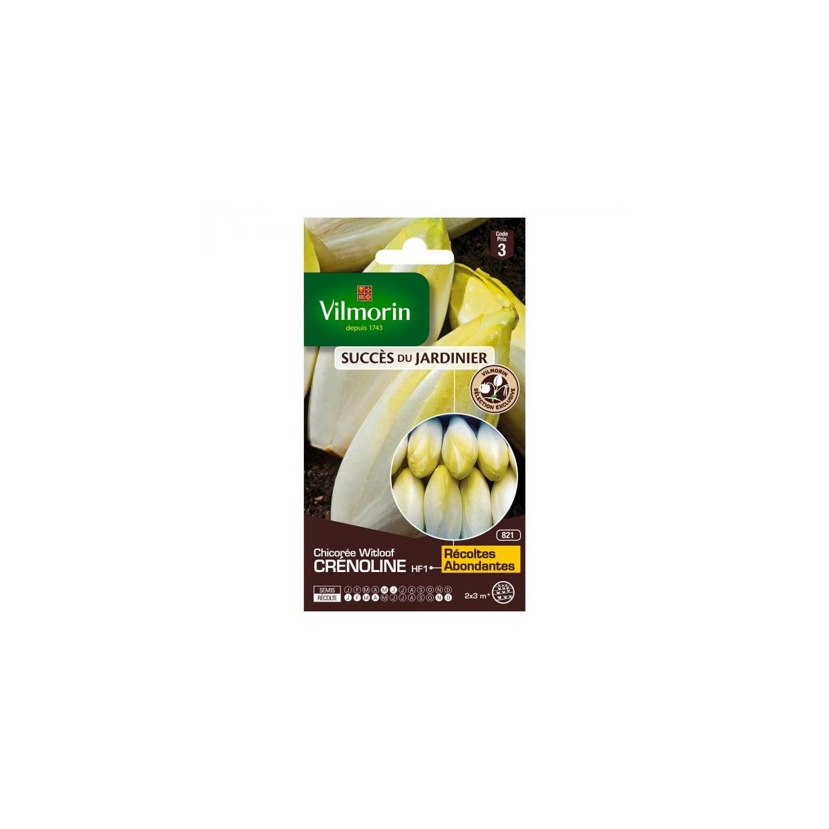 Sachet graines Chicorée Witloof Crenoline HF1