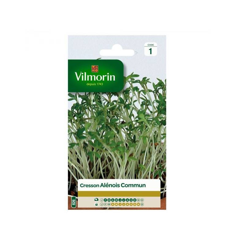 Common alenois watercress seeds bag